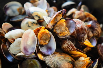 Vongole veraci del Mediterraneo