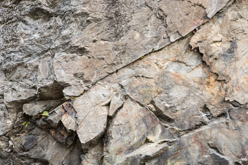 Parete rocciosa 