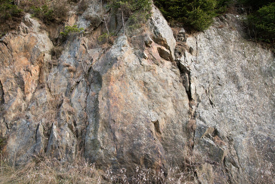 parete rocciosa come sfondo