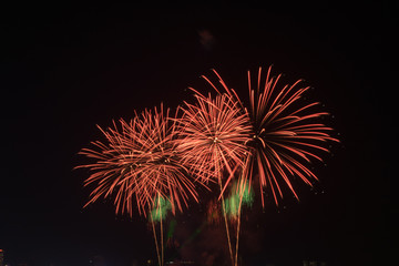 Fireworks light up the sky with dazzling display