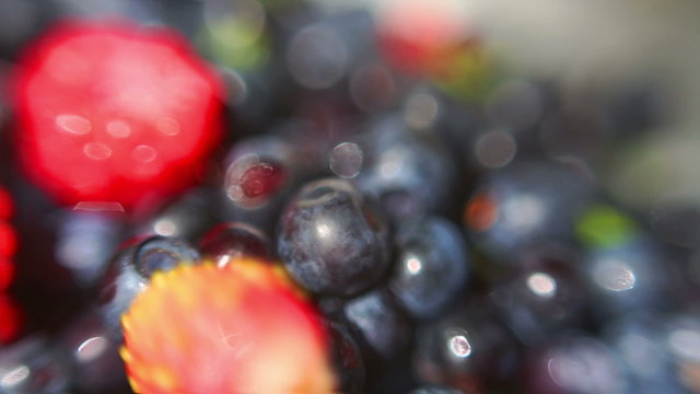 Fresh Blueberries macro