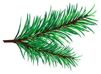 Spruce branches on a white background © pog2011