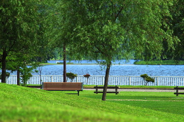湖畔の公園風景