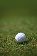Golf ball on course