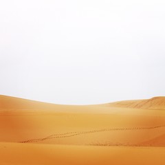 Fototapeta na wymiar ベトナムの砂漠