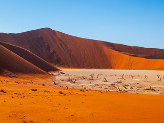 Valley of the Death in namibian Sossusvlei
