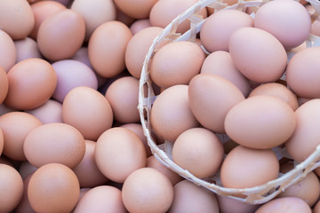 Fresh eggs background