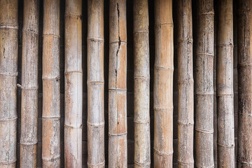 Dry bamboo wall texture background.