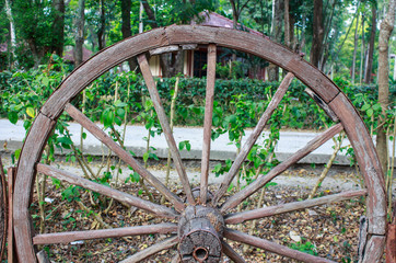 wooden wagon wheel in garden