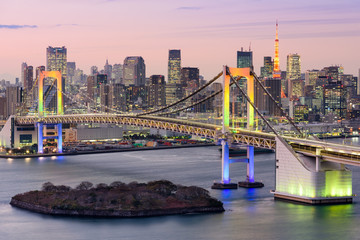 Fototapeta na wymiar Tokyo Bay Skyline