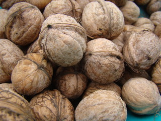 walnut