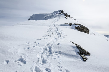 Fototapeta na wymiar Schneewanderung Gipfel