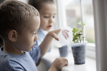 A young boy looking at young plants in pots growing on a windowsill. 