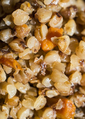 Friable stewed hot buckwheat cereal close up
