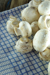 mushrooms on a napkin.