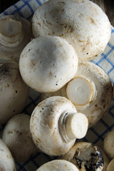 mushrooms on a napkin.