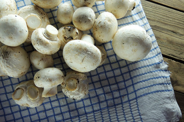 mushrooms on a napkin.