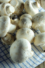 mushrooms on a napkin.