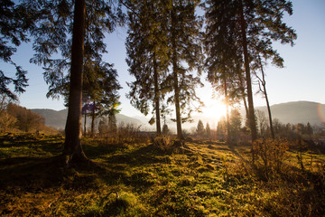 Sonnenuntergang, Wald