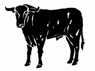 silhouette bull, grunge vector illustration