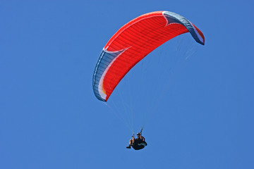 Paraglider