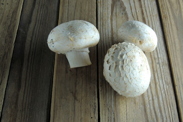 mushroom on wooden background