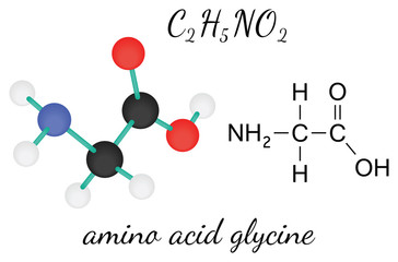 C2H5NO2 glycine amino acid molecule