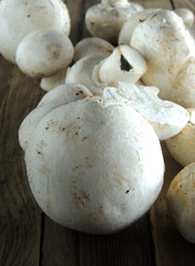 mushroom on wooden background