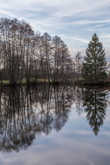 étang de Haute-Saône