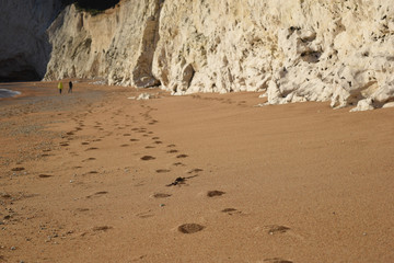 steps