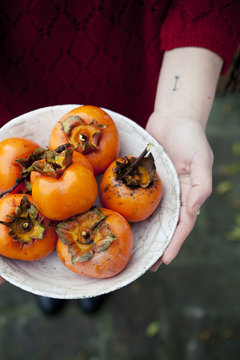 person holding a dish full of freshly harvested persimmons