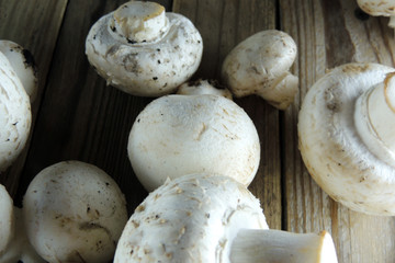 mushroom on wooden background