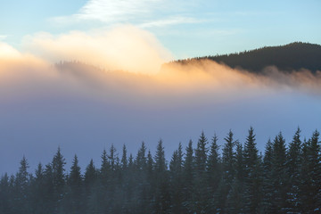 Fog on the mountain