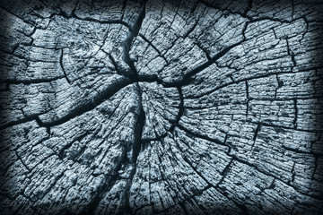 Old Stump, Weathered, Rotten, Cracked, Top Surface, Stained Pale Blue, Vignette, Grunge Texture.