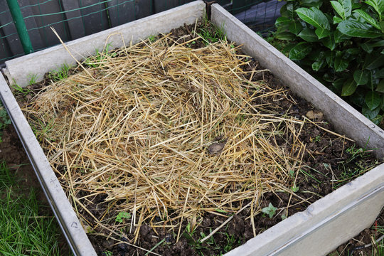 bac &agrave; l&eacute;gumes potagers
