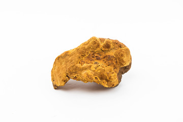 South Korea Phellinus, herbal medicine 