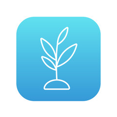 Sprout line icon.