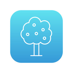 Fruit tree line icon.
