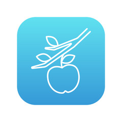 Apple harvest line icon.