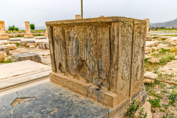 Pasargadae relief remains