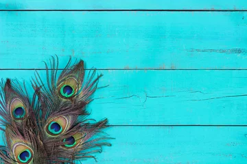 Poster Blank rustic antique teal blue wood sign with peacock feathers © laurha