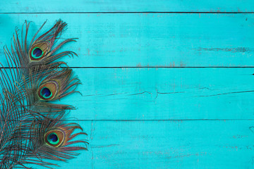 Blank rustic antique teal blue wood sign with peacock feathers