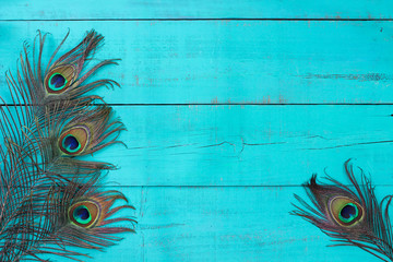 Blank rustic antique teal blue wood sign with peacock feathers