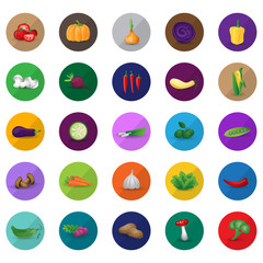 Vegetables Set - Isolated On Background - Vector Illustration, Graphic Design