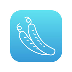 Cucumber line icon.