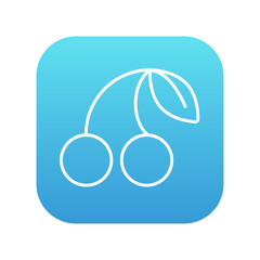 Cherry line icon.