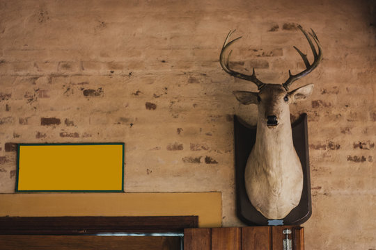Interior de fazenda com alce