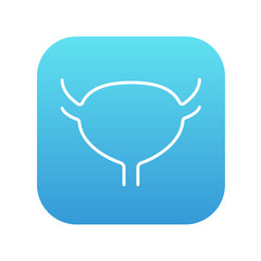 Urinary bladder line icon.