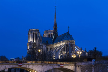 Fototapeta na wymiar the cathedral Notre Dame of Paris.