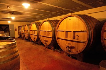 Wine fermenation tanks